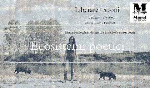 Scopri di più sull'articolo Ecosistemi poetici – Liberare i suoni: Ilaria Boffa – video