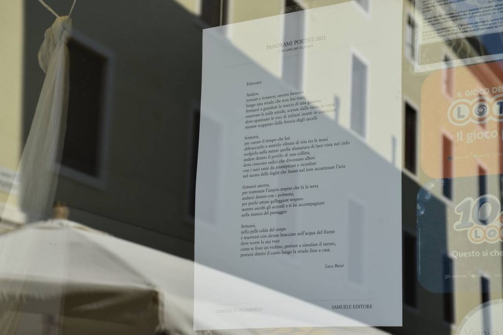 Scopri di più sull'articolo Promo Panorami Poetici: vetrine poetiche