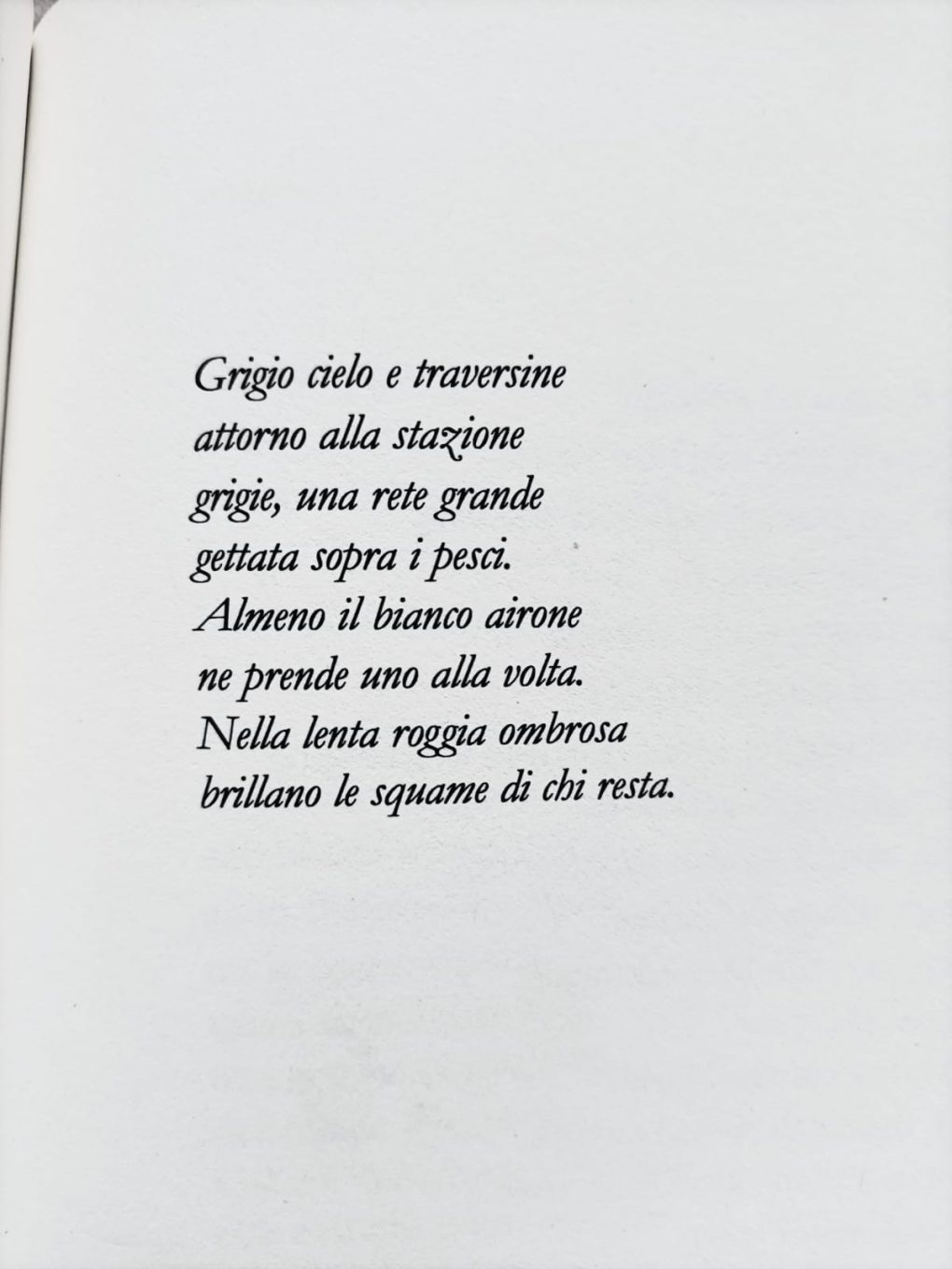 Scopri di più sull'articolo Spolia II su Rai Poesia – Instagram