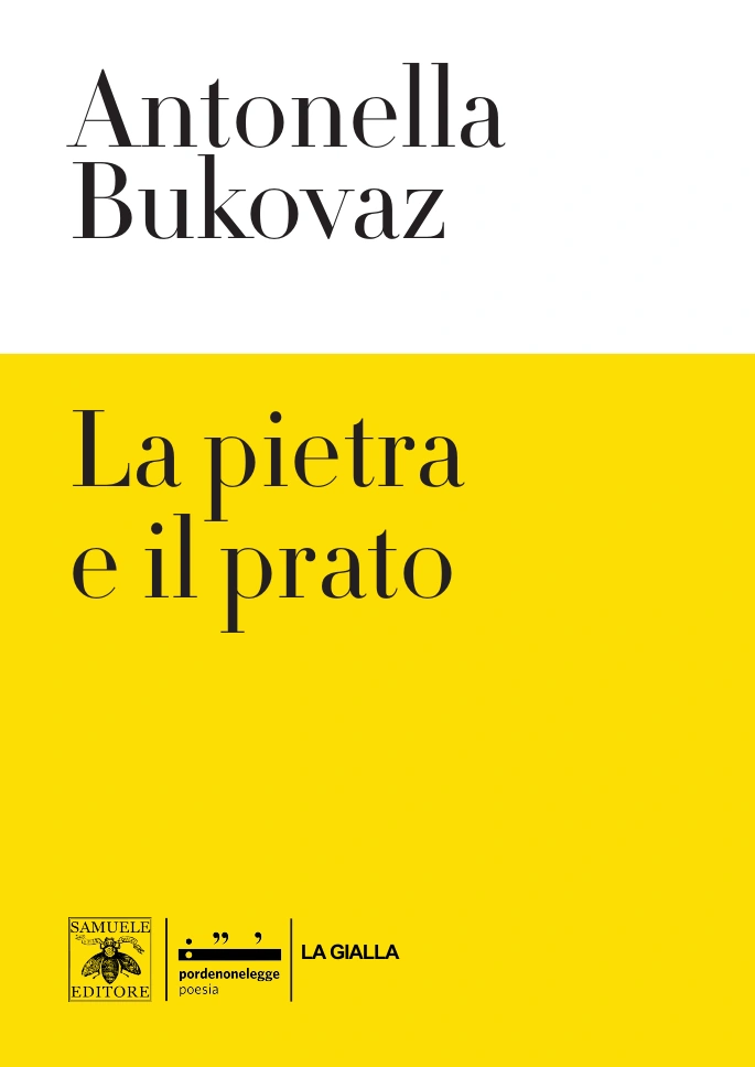 Copertina di La pietra e il prato
