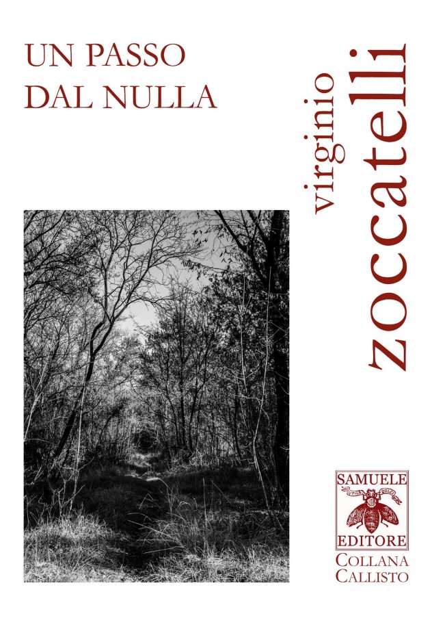 Scopri di più sull'articolo Un passo dal nulla – Virginio Zoccatelli