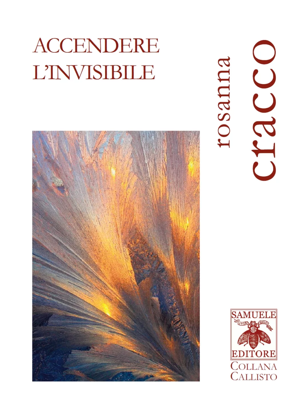Scopri di più sull'articolo Accendere l’invisibile – Rosanna Cracco