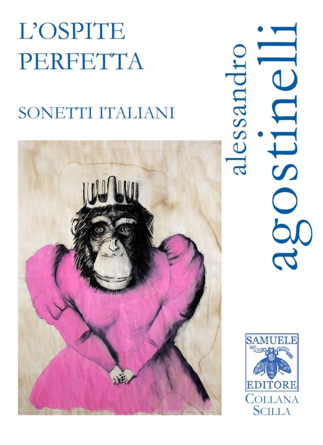 Scopri di più sull'articolo Matteo Bianchi recensisce L’ospite perfetta