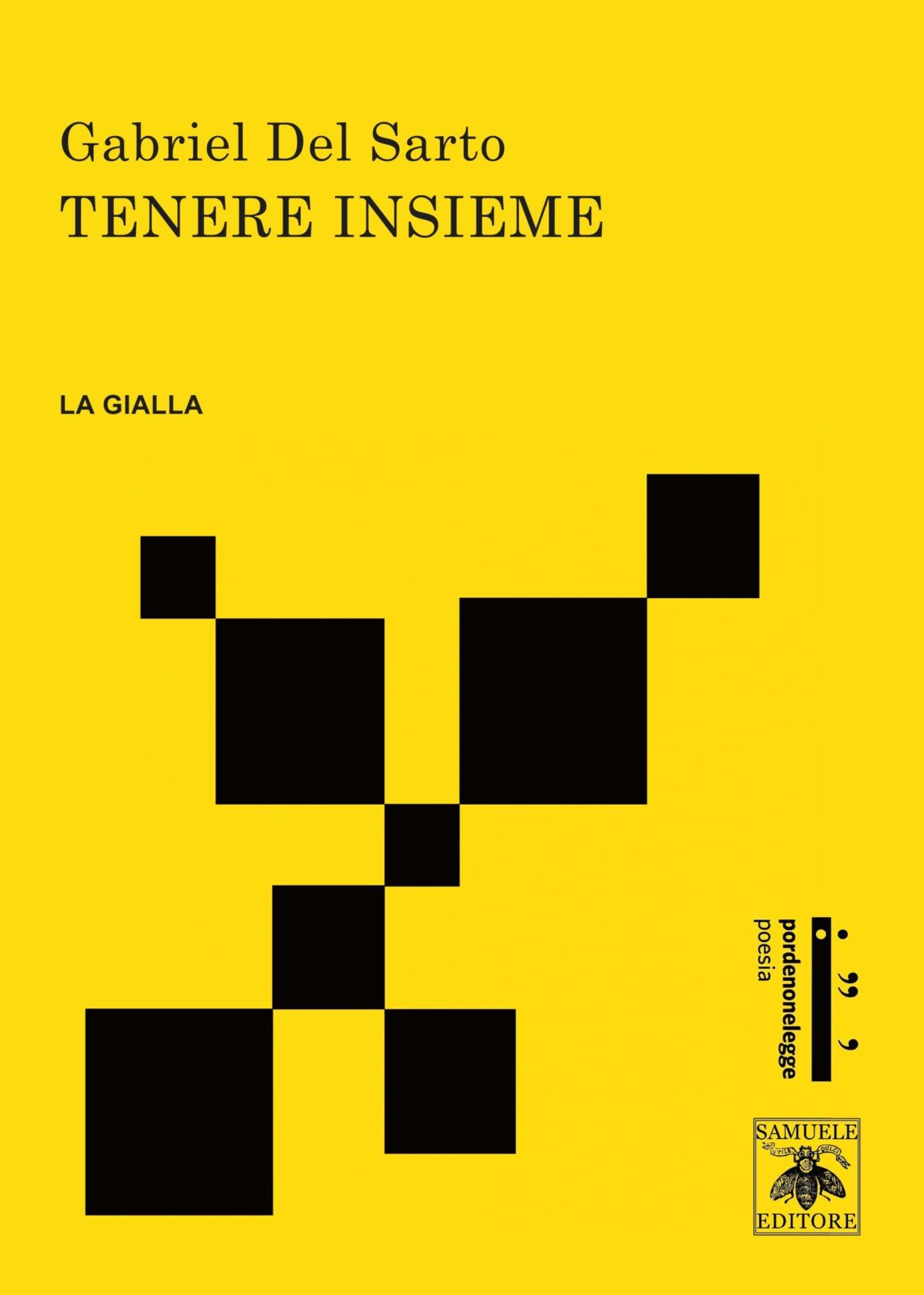 Al momento stai visualizzando Tenere insieme – Gabriel Del Sarto