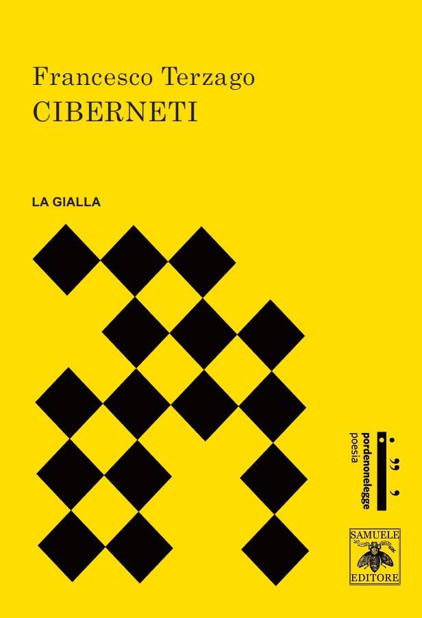 Scopri di più sull'articolo Ciberneti – Francesco Terzago