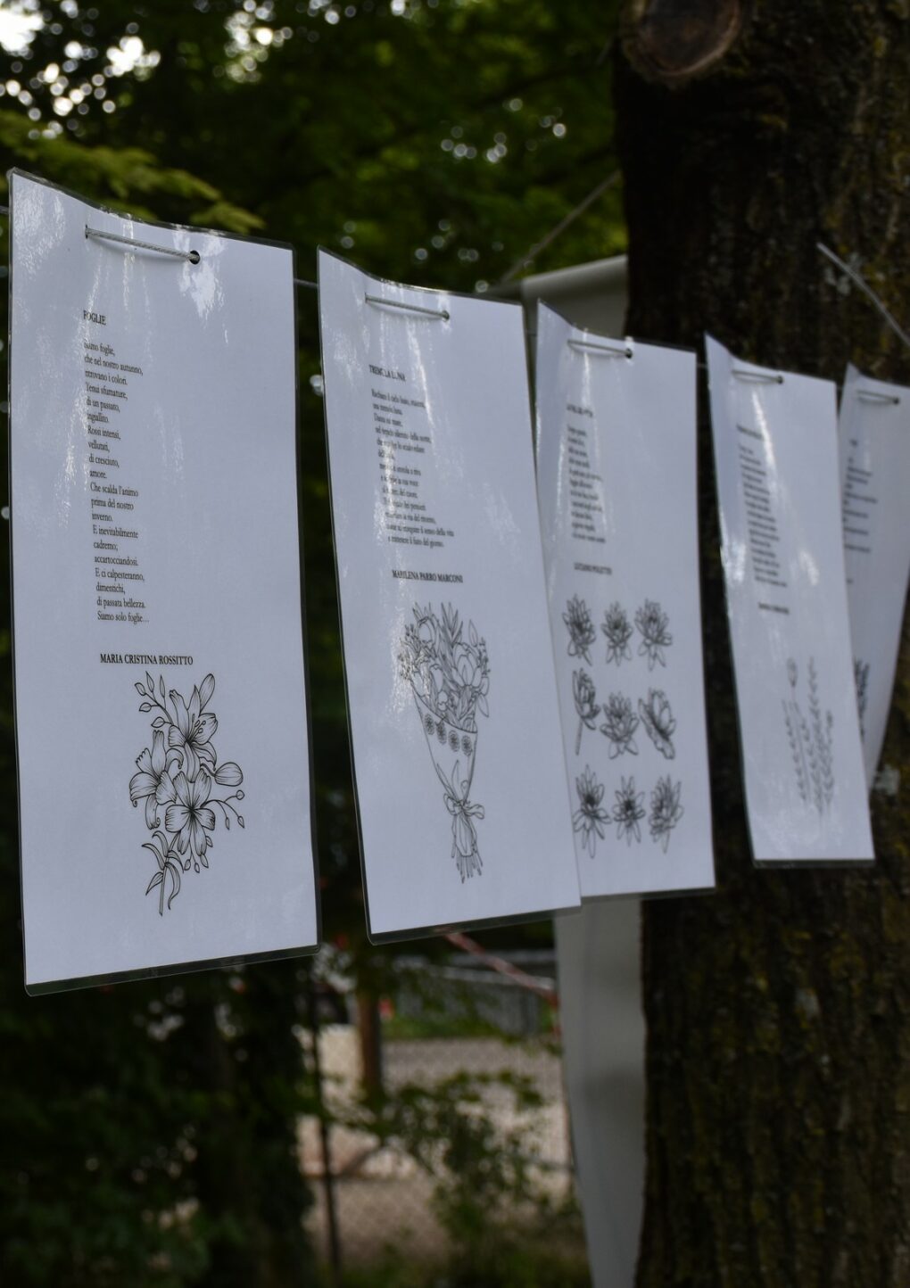 Scopri di più sull'articolo Festival della Letteratura Verde – installazione poetica – foto