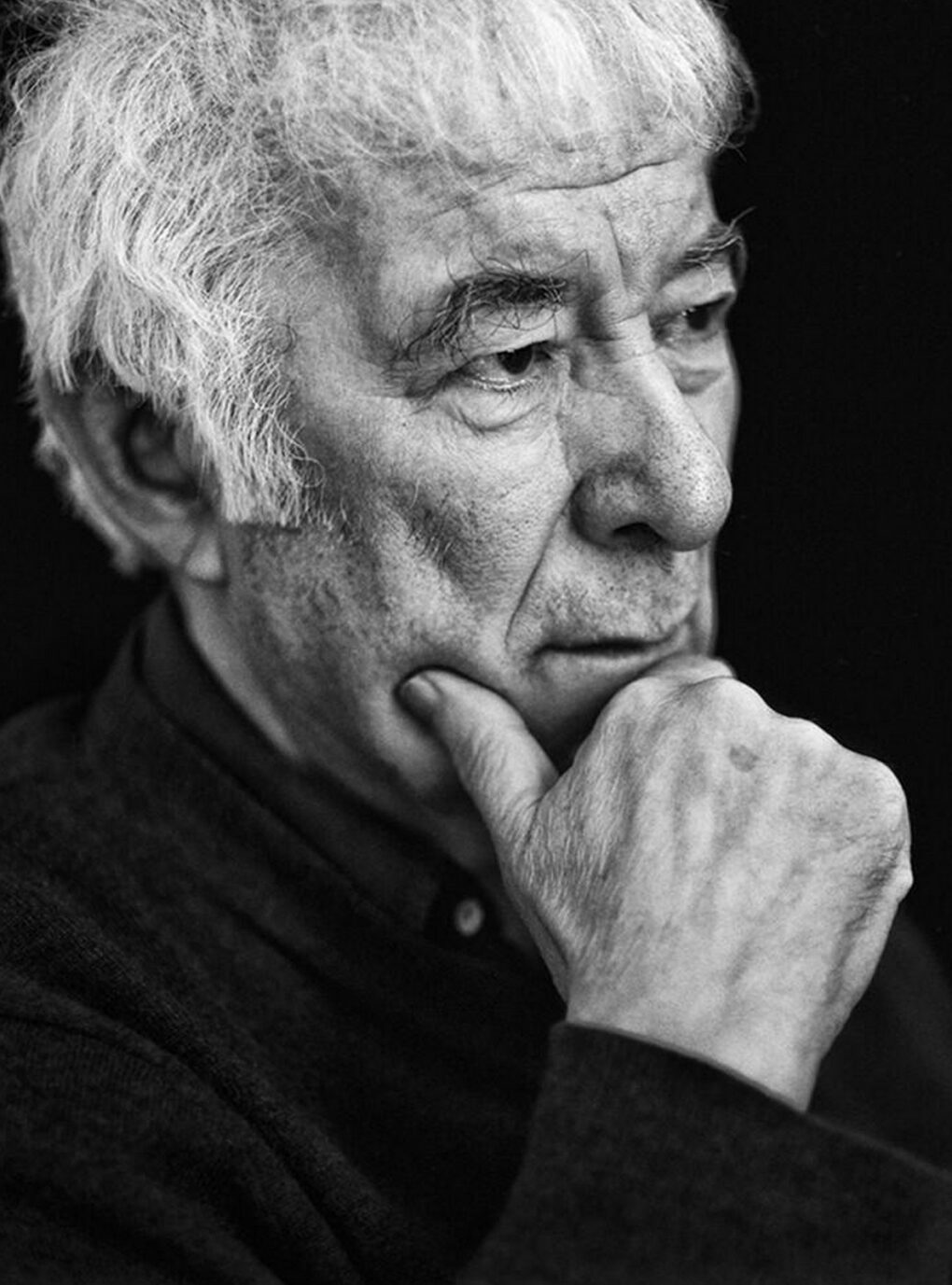 Scopri di più sull'articolo Marco Sonzogni, Seamus Heaney e Giovanni Pascoli – su Rai Cultura