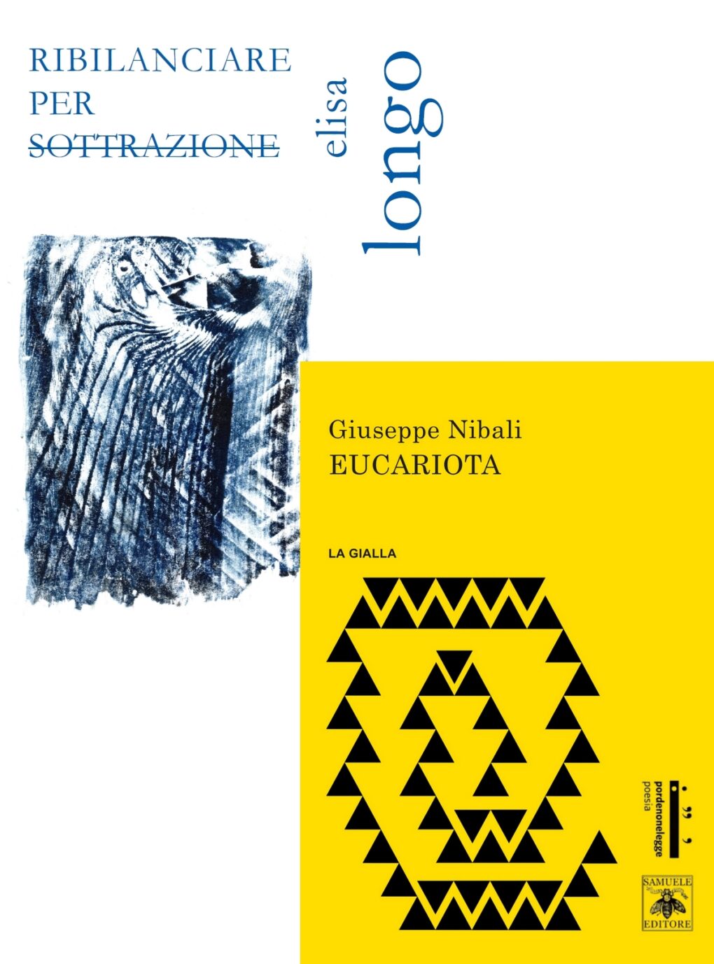 Scopri di più sull'articolo Ribilanciare per sottrazione ed Eucariota sull’Huffingtonpost