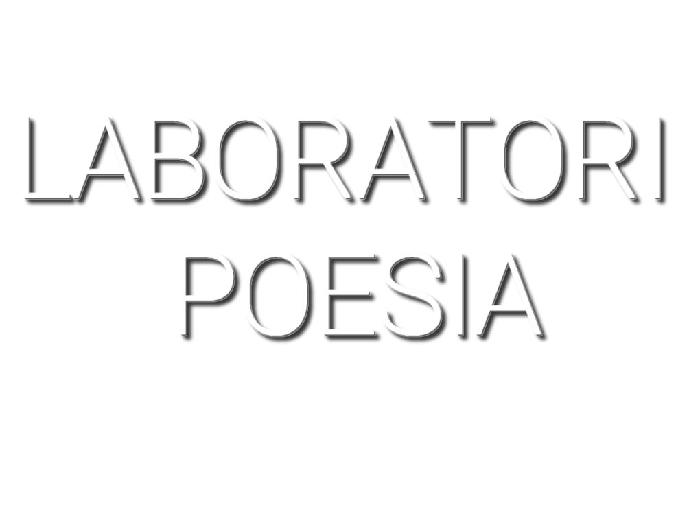 Scopri di più sull'articolo Il 2018 di Laboratori Poesia