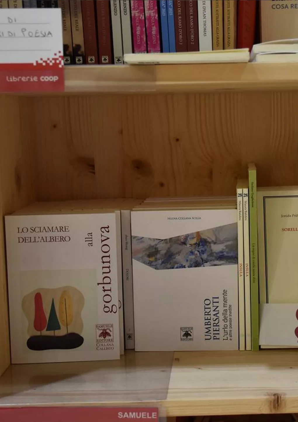 Scopri di più sull'articolo Salone del Libro 2025: foto varie