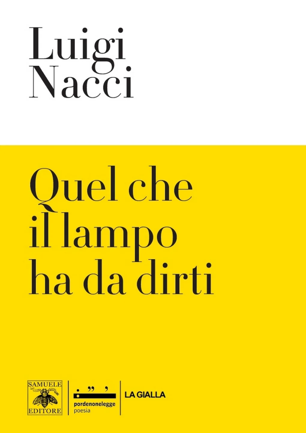 Scopri di più sull'articolo Quel che il lampo ha da dirti – Luigi Nacci