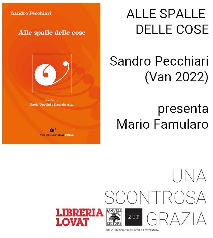 Scopri di più sull'articolo Una Scontrosa Grazia: Sandro Pecchiari